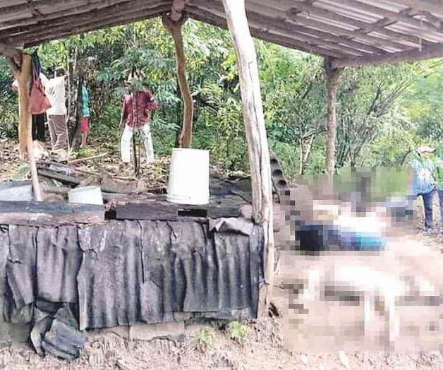 Mata un rayo a dos hombres y 2 perros Mata un rayo a dos hombres y 2 perros