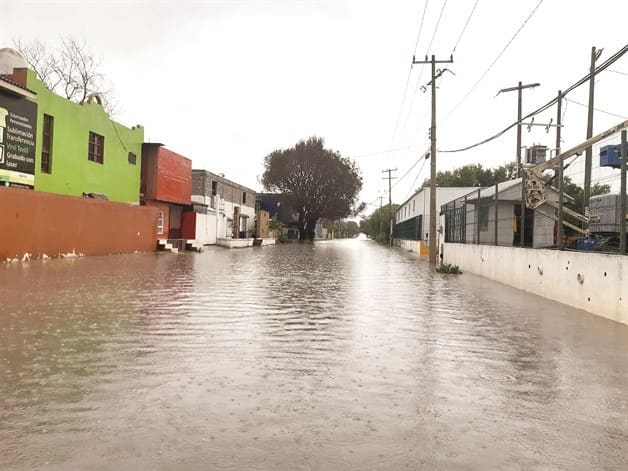 Sellan paso a desnivel Sellan paso a desnivel