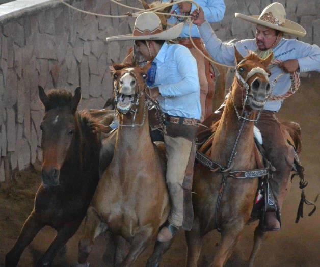Se quedan cortos Se quedan cortos