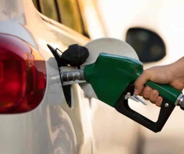 Responde Cofece a AMLO sobre altos precios de los energéticos