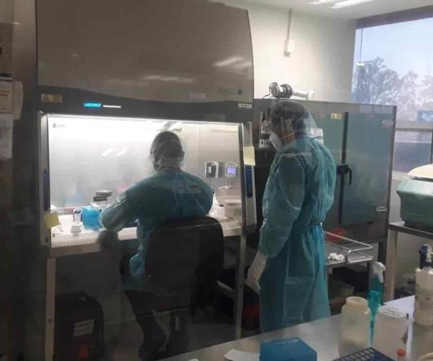 Confirma Tamaulipas tres variantes de Covid