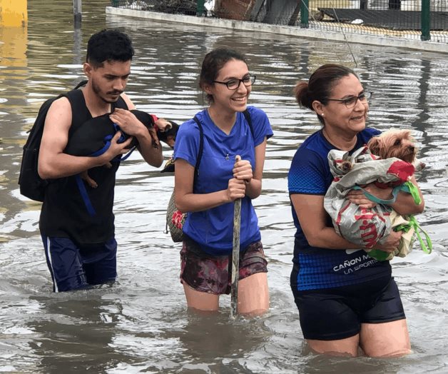Rescatan a perros de fuertes lluvias Rescatan a perros de fuertes lluvias