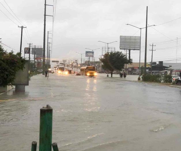 Huellas de la tormenta Huellas de la tormenta