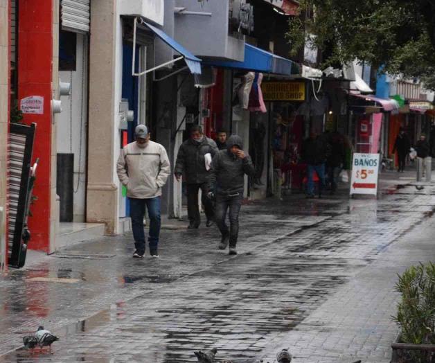 Registran pérdidas ¡del 50 por ciento! Registran pérdidas ¡del 50 por ciento!