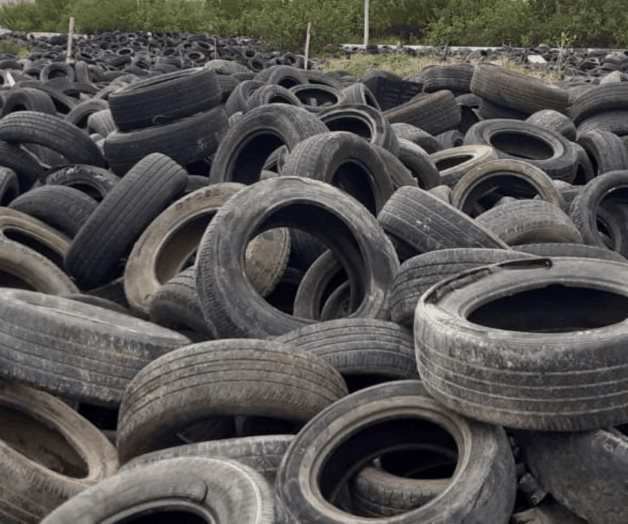 Cementerio de llantas es criadero de plagas Cementerio de llantas es criadero de plagas