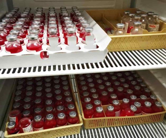 Arriba remesa de 3 mil vacunas para perros y gatos Arriba remesa de 3 mil vacunas para perros y gatos