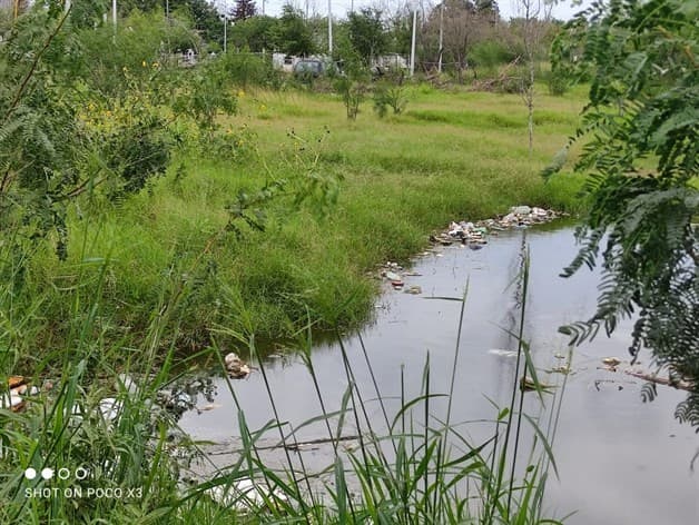 Desaguarán laguna Benito Juárez para evitar desbordamiento 