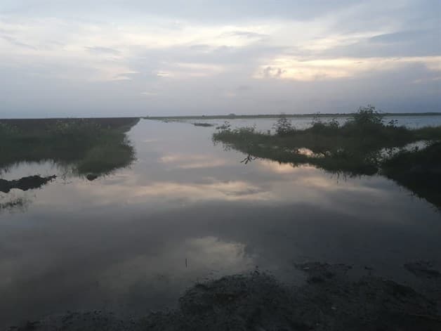 Dejan inundaciones por lluvias incomunicada la brecha 115 Dejan inundaciones por lluvias incomunicada la brecha 115