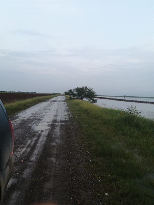 Dejan inundaciones por lluvias incomunicada la brecha 115 Dejan inundaciones por lluvias incomunicada la brecha 115