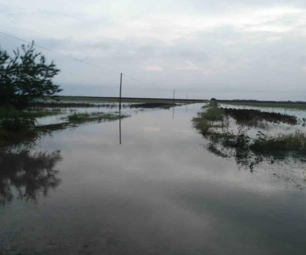 Castigan lluvias a la zona rural Castigan lluvias a la zona rural