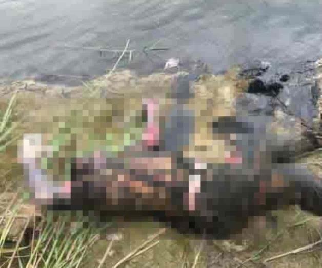 Extraen cuerpo del río Bravo Extraen cuerpo del río Bravo