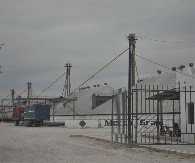 Autorizan siembra de maíz en tardío