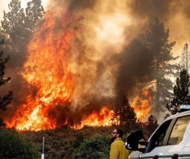 Dificulta ola de calor combate de incendios Dificulta ola de calor combate de incendios