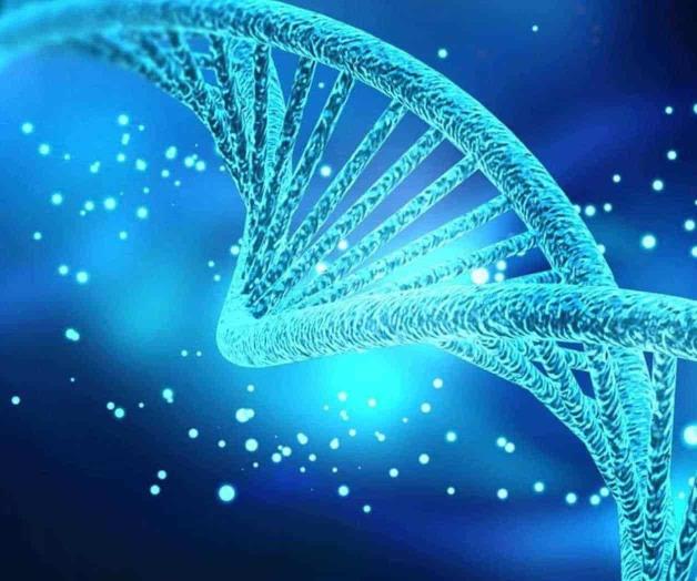 Pide OMS crear registro global de edición genética Pide OMS crear registro global de edición genética