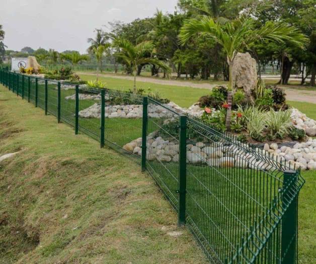 Avanza cerco a cocodrilos Avanza cerco a cocodrilos