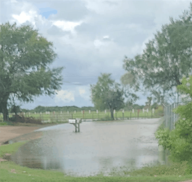 Arranca ataque a los mosquitos