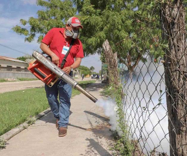 Tras lluvias, urgen fumigación Tras lluvias, urgen fumigación