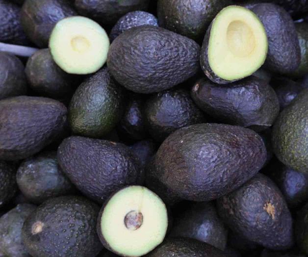 Cae superávit agroalimentario Cae superávit agroalimentario