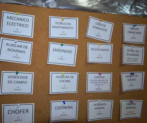 Repunta empleo entre crisis Repunta empleo entre crisis