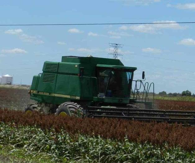 Reactivan trillas Reactivan trillas