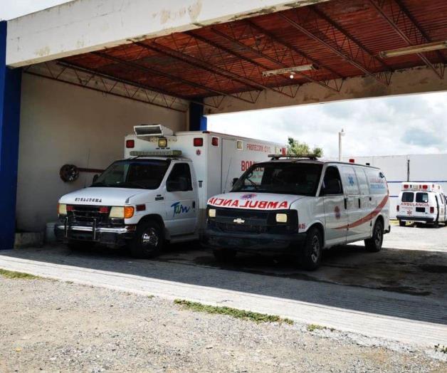 Agreden abejas a taladores de madera