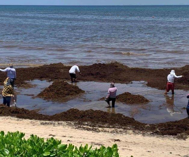 Sol y mar... entre sargazo y olor a azufre