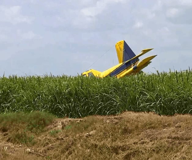 Se desploma avioneta en plena fumigación Se desploma avioneta en plena fumigación