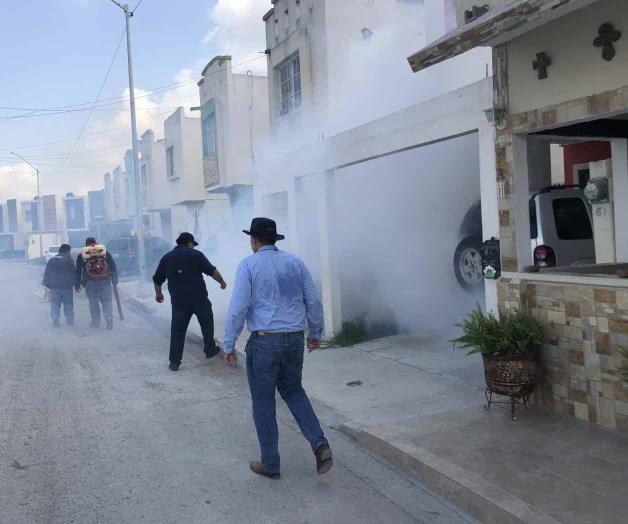 Intensifican fumigación Intensifican fumigación