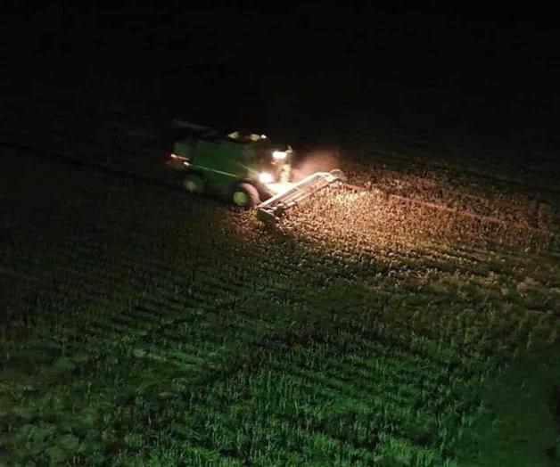 Trillan sorgo de noche Trillan sorgo de noche