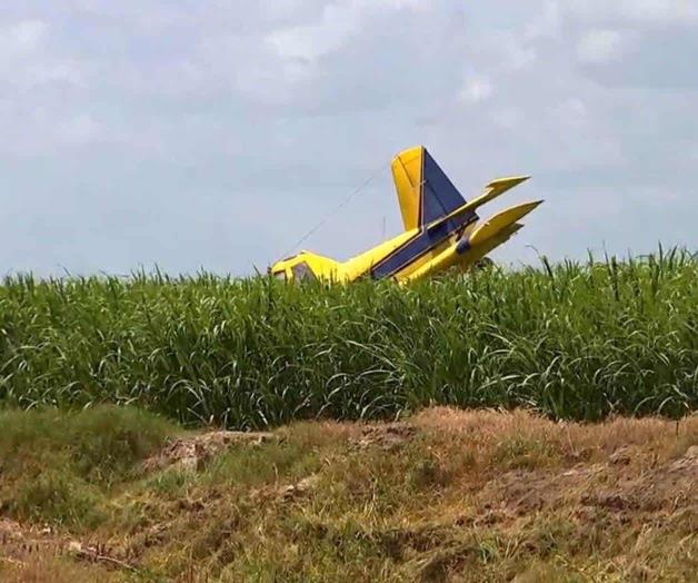 Desploma avioneta mientras fumigaba Desploma avioneta mientras fumigaba