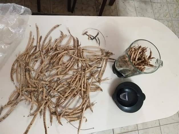 Propone Colectivo ecologista producción de huevo orgánico Propone Colectivo ecologista producción de huevo orgánico