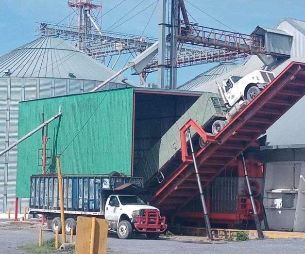 Demandan a bodegas respetar precio de sorgo Demandan a bodegas respetar precio de sorgo