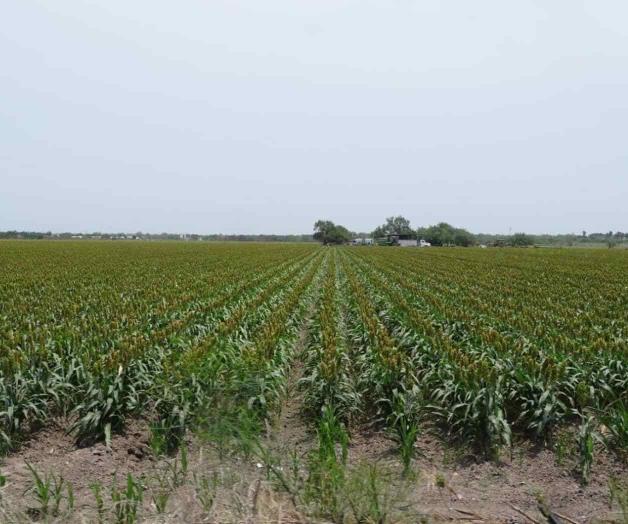 Llegan a acuerdos Conagua y usuarios del 026 Llegan a acuerdos Conagua y usuarios del 026