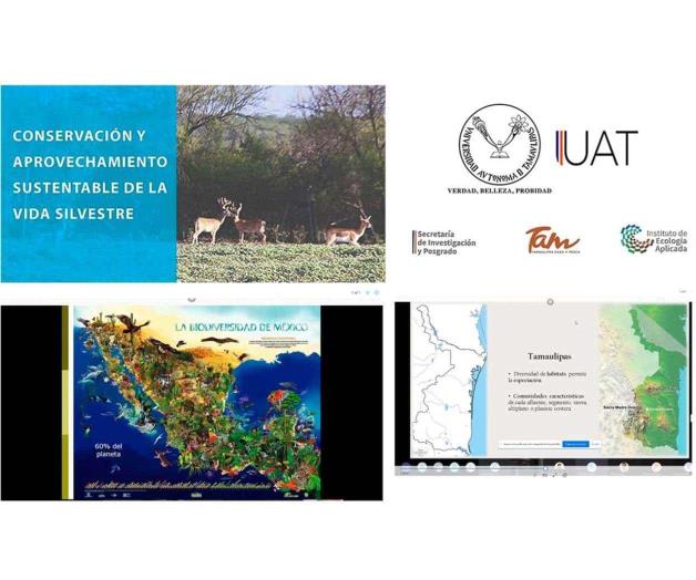 Imparte la UAT curso sobre conservación de vida silvestre Imparte la UAT curso sobre conservación de vida silvestre