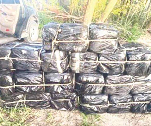 Decomisan 600 libras de mariguana en el Valle Decomisan 600 libras de mariguana en el Valle