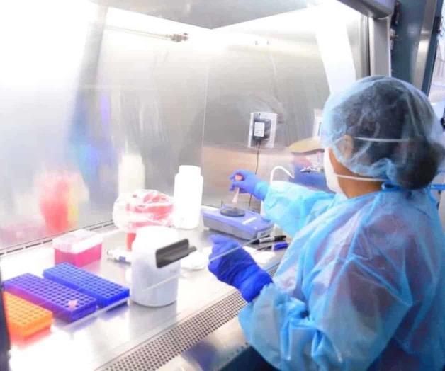 Baja hasta un 80% incidencia de COVID