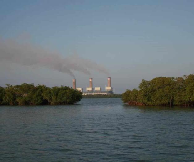 Impulsan que sea crimen el ecocidio Impulsan que sea crimen el ecocidio