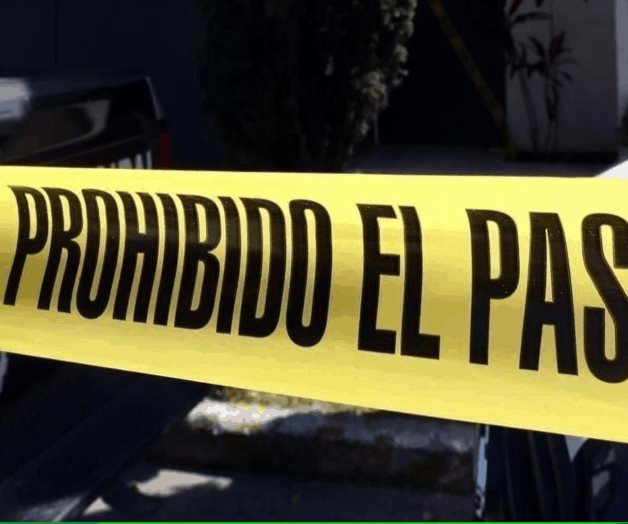 Plagian, ahora, en Guerrero Plagian, ahora, en Guerrero