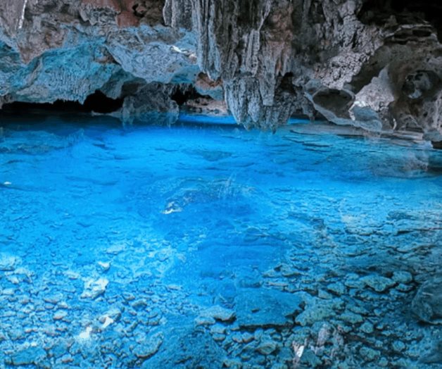 Tras años de abandono, comunidad maya rescata cenote Tras años de abandono, comunidad maya rescata cenote
