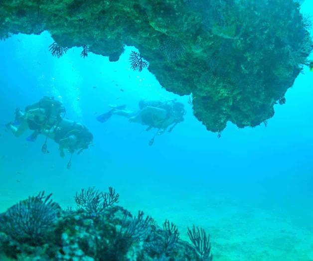 Diversión en la costa