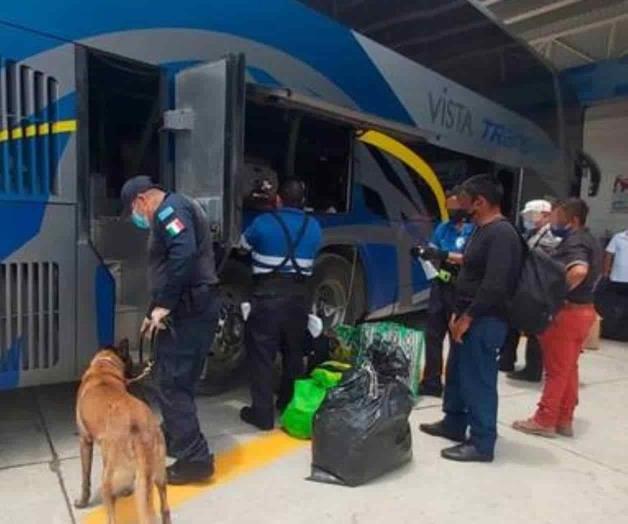 Vigila SSP centrales de autobuses Vigila SSP centrales de autobuses