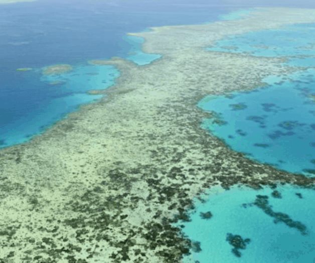 UNESCO defiende decisión sobre arrecife en Australia