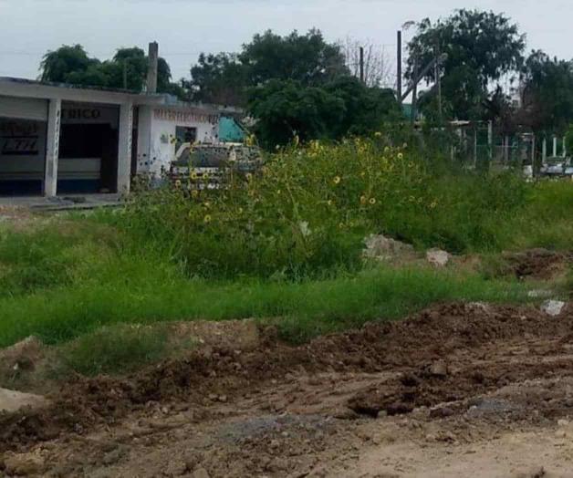 Demandan fumigación Demandan fumigación