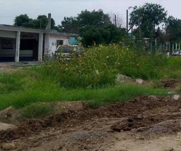 Demandan fumigación en Paraíso norte Demandan fumigación en Paraíso norte