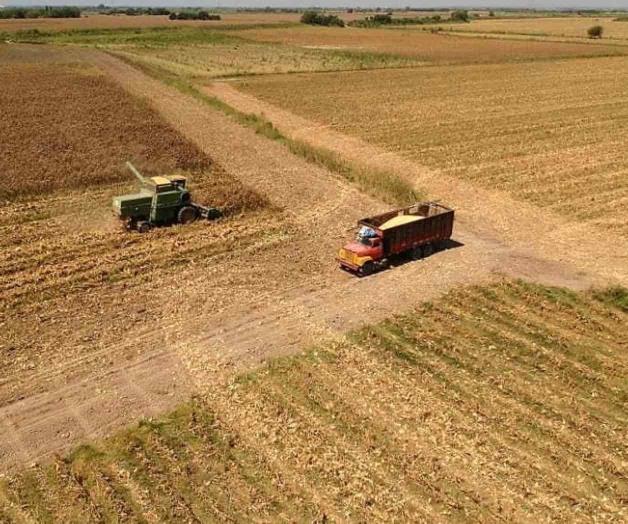 Alerta por tráfico de maquinaria Alerta por tráfico de maquinaria
