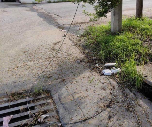 Can cables de CFE Can cables de CFE