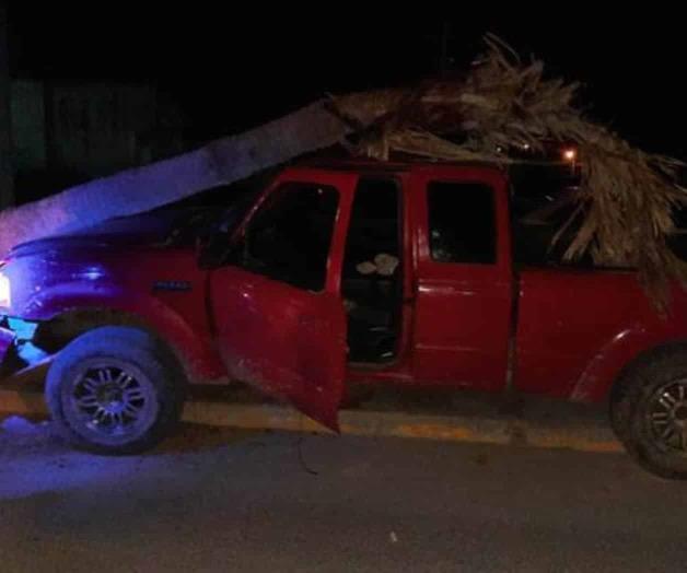 Se le ‘atraviesa’ palma