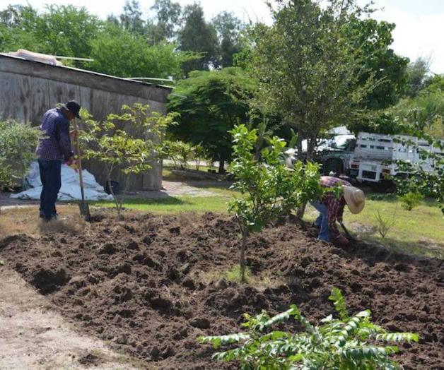 Facilita la vacuna plan de movilidad Facilita la vacuna plan de movilidad