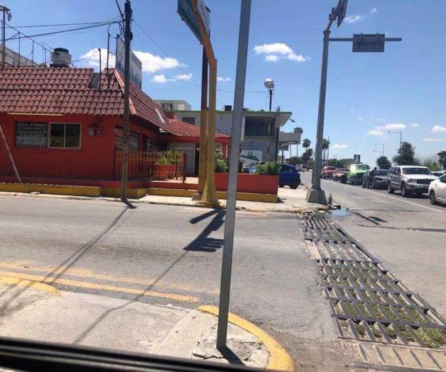 Dan tronco al Mezquite Dan tronco al Mezquite