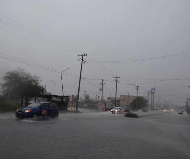 Urgente fumigar contra el dengue Urgente fumigar contra el dengue